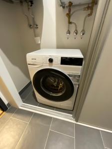 a washer and dryer in a small room at Útulný jednopokojový apartmán v alpském stylu na Klínovci in Loučná pod Klínovcem