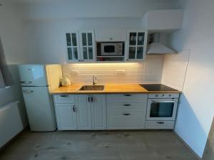 Køkken eller tekøkken på Útulný jednopokojový apartmán v alpském stylu na Klínovci