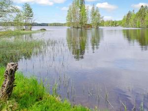 Blick auf einen großen See mit Bäumen und Gras in der Unterkunft Holiday Home Lietukka by Interhome in Outokumpu