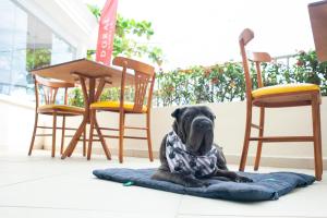Foto da galeria de Doral Guarujá no Guarujá