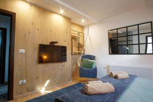 Zimmer mit 2 Betten und einem Flachbild-TV in der Unterkunft Cabana Noua in Pojorîta