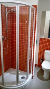 Kúpeľňa v ubytovaní Apartmány Čertovka + 14 fotografií