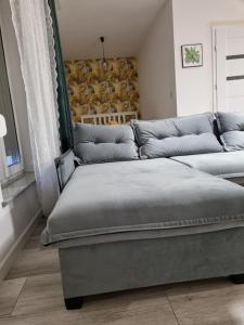 two beds in a room with a couch at Apartament Uroczy in Legnica