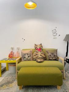 Khu vực ghế ngồi tại Living House