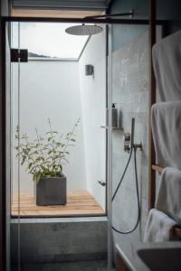 a bathroom with a shower with a potted plant at Haus am Turm in Vipiteno