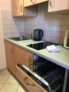 Kuchyňa alebo kuchynka v ubytovaní Appartement Sport Girbl