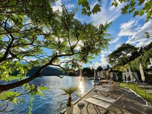 vistas a un lago con sillas y árboles en Hotel Nikolasch, en Millstatt