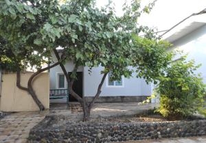 un groupe d'arbres devant un bâtiment dans l'établissement Guest house Gula, à Samarcande