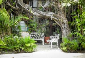 2 chaises assises sous un arbre dans un jardin dans l'établissement Eco-hotel El Rey del Caribe, à Cancún