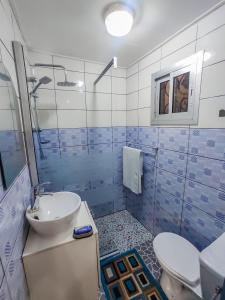 uma casa de banho azul e branca com um lavatório e um WC em MOOKSQUARE GJ SPOT em Douala