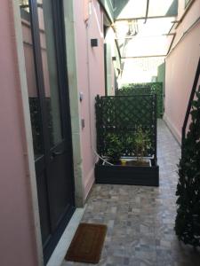 Fotografie z fotogalerie ubytování B&B Affittacamere Trigona v destinaci Misterbianco