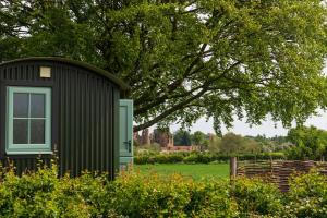 a small shed in a field with a tree at Romantic Shepherds Hut, Kenilworth in Kenilworth