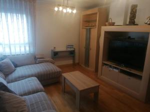 a living room with a couch and a flat screen tv at Apartamento Praga in Vitoria-Gasteiz