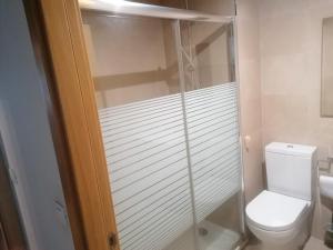 a bathroom with a toilet and a glass shower stall at Apartamento Praga in Vitoria-Gasteiz