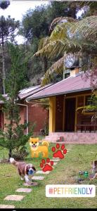 a cat walking in the grass in front of a house at Cháles Terra Nativa in Monte Verde