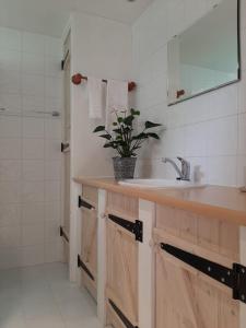 ein Badezimmer mit Waschbecken und Dusche in der Unterkunft Les Deux Magnolias in Saint-Léon-sur-lʼIsle