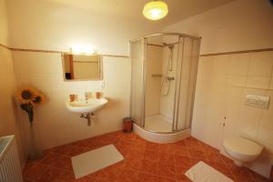 a bathroom with a shower and a toilet and a sink at Gasthof zur Post in Strasswalchen