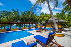 - une piscine avec des chaises et des palmiers dans l'établissement Hotel Meson de Mita, à Punta Mita