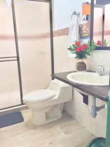 a bathroom with a toilet and a sink at Mamatina Hotel in Santa Rosa de Cabal