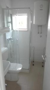 a bathroom with a shower and a toilet and a sink at Apartments Mira in Medveja