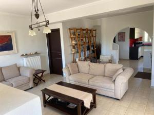 Gallery image of 350m Above Sea in Vasiliki +20 photos