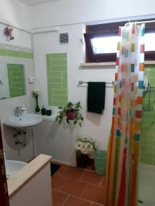 La salle de bains est pourvue d'un lavabo et d'un rideau de douche. dans l'établissement Annarella, à Castrocielo