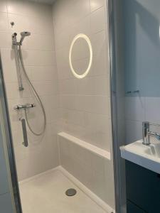 a bathroom with a shower and a sink at Bed en breakfast Onder aan de dijk in Warder