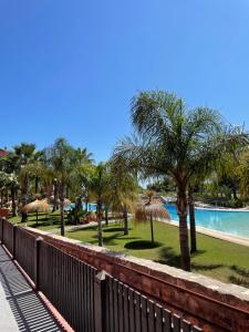 un complexe avec une piscine et des palmiers dans l'établissement Apartamento exclusivo playa granada golf, à Motril