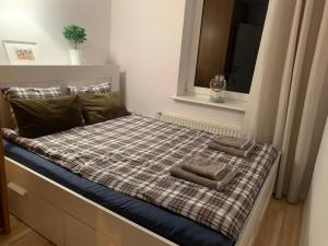 1 cama con 2 almohadas y ventana en Apartament PREMIUM Karpacz en Miłków