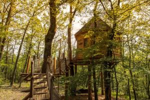 Afbeelding uit fotogalerij van Cabanes dans les arbres avec spa Lot et Dordogne in Lamothe-Fénelon