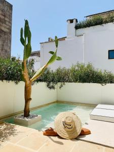 een strohoed en een plant in een zwembad bij Corte Manfredi in Alessano
