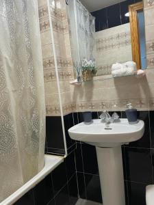 a bathroom with a sink and a shower curtain at Apartamento de 1 dormitorio en buena ubicación in Albacete