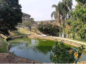 a pond in a park with palm trees and a building at Flat encantador localizado no melhor de Serra Negra - SP in Serra Negra