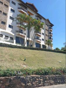a building with palm trees in front of it at Flat encantador localizado no melhor de Serra Negra - SP in Serra Negra