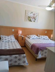 a bedroom with two beds and a painting on the wall at Flat encantador localizado no melhor de Serra Negra - SP in Serra Negra