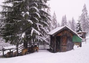 Gästehaus Panorama durante l'inverno