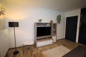 サルグミーヌにあるAppartement tout confort, meublé et équipé.のリビングルーム(薄型テレビ付)