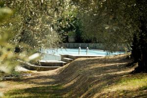 a swimming pool with stairs in a park with trees at Casa del Pino in Borgo a Buggiano