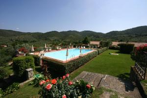 Bazén v ubytování Agriturismo Cortoreggio nebo v jeho okolí