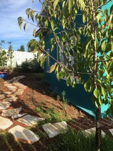 A garden outside החן בירוק