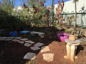 A garden outside החן בירוק