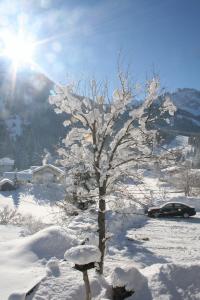 Paesaggio naturale nelle vicinanze dell'affittacamere