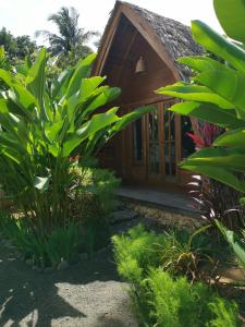 Zahrada ubytování Coconut Tree Cottages