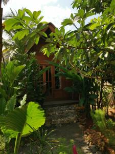 Zahrada ubytování Coconut Tree Cottages