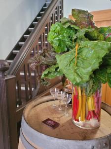 a vase of lettuce on a table with wine glasses at Etoile Alsacienne in Lapoutroie