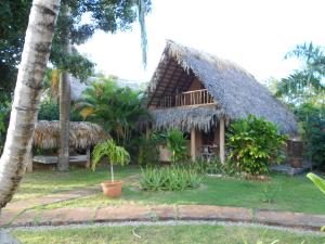 una casa con tetto di paglia e palme di Casa 3 amigos-Palm roofed house a Las Galeras