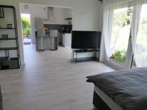 een woonkamer met een televisie en een keuken bij Forststrasse Apartment in Stockstadt am Main