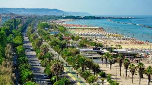 a beach with a bunch of palm trees and the water at B&B Patrizio in San Benedetto del Tronto