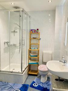 a bathroom with a shower and a toilet and a sink at Ferienwohnung Heiligenhagen in Satow