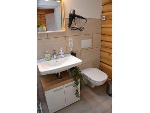 ein Bad mit einem Waschbecken und einem WC in der Unterkunft Traditionshof Lausitzer Teich- und Waldwirtschaft in Petershain